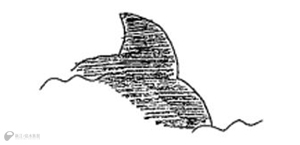 小型鯨類の背びれ（イメージ）
