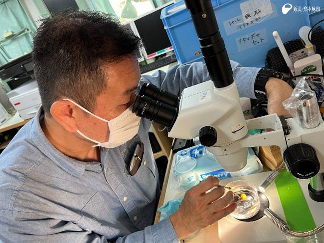 顕微鏡でプランクトンを観察する三宅教授