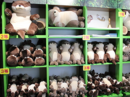 ぬいぐるみクジ へそてんっ!カワウソ
