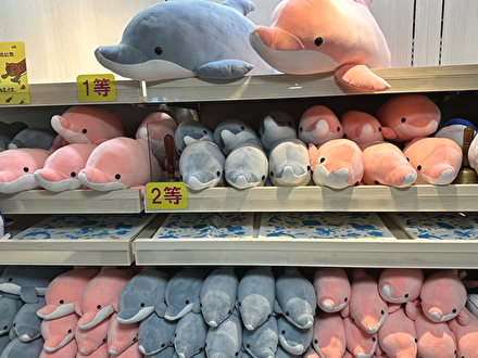 すいすいイルカクジ