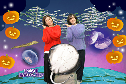 ハロウィンフォト