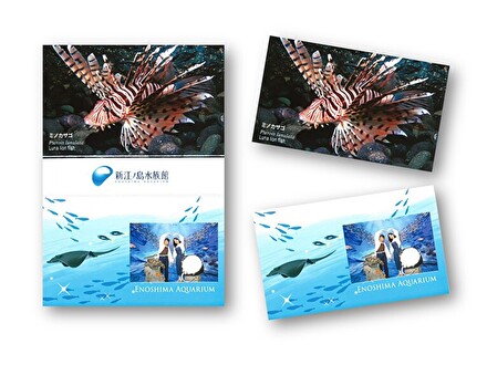 「あわたん5周年 おめでとう!」フォトカード プレゼント!