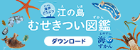 江ノ島むせきつい図鑑